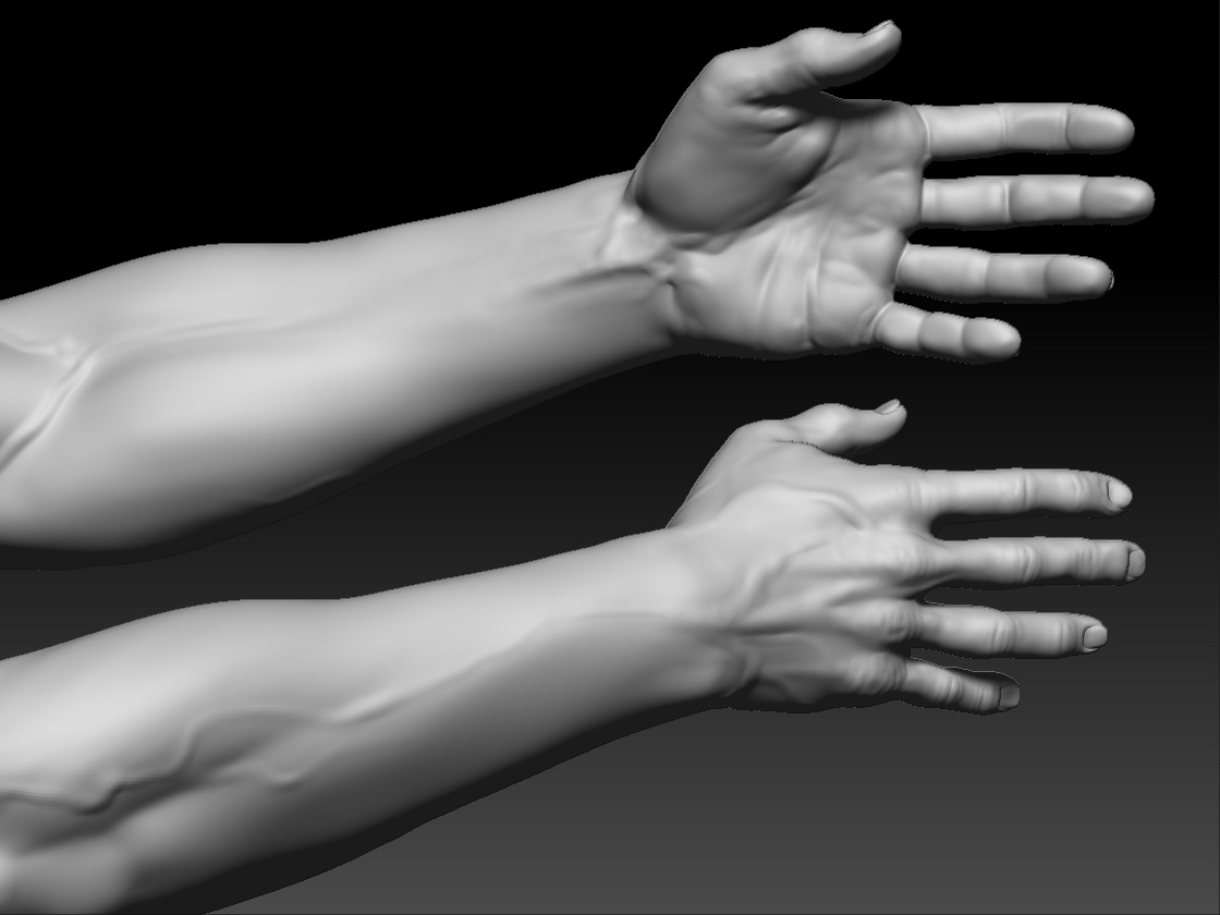 Hands.jpg